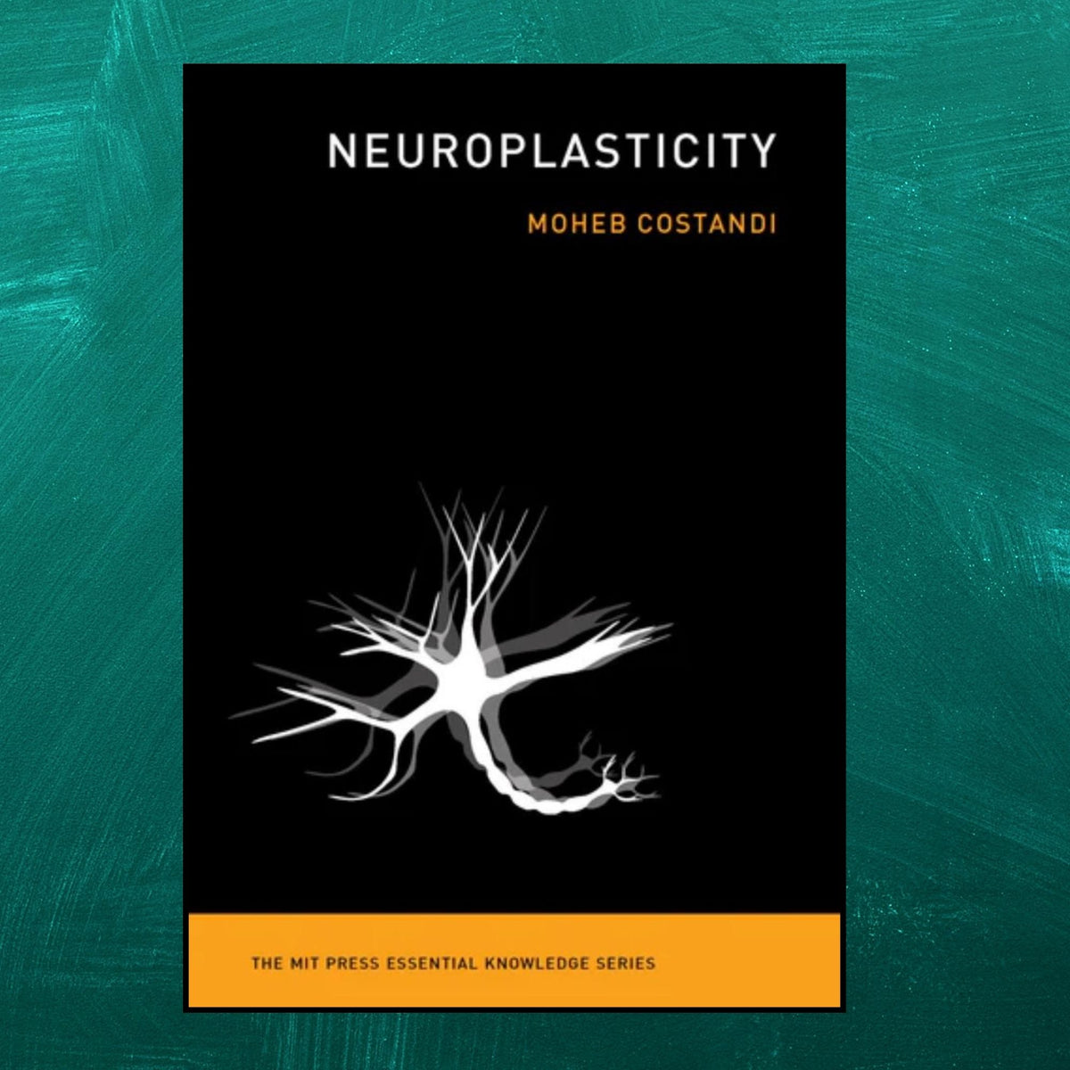 Neuroplasticity