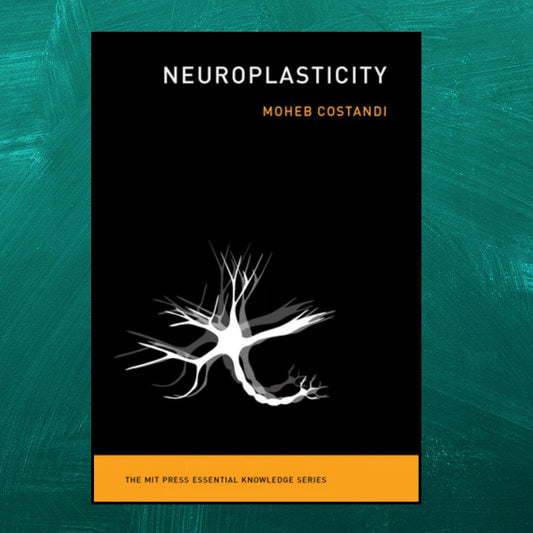 Neuroplasticity