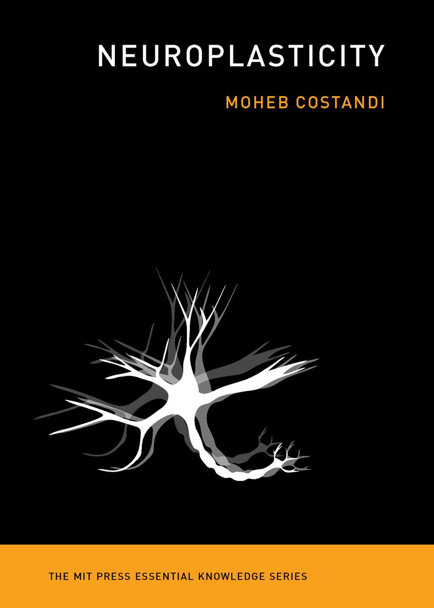 Neuroplasticity
